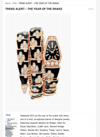 Rewind Vintage featured in Fam blog